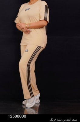 محصول نمونه 6